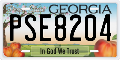 GA license plate PSE8204
