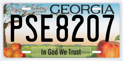 GA license plate PSE8207
