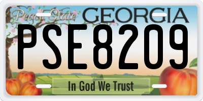 GA license plate PSE8209