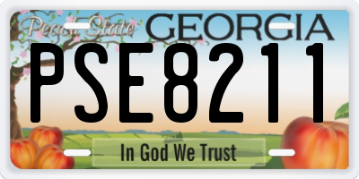 GA license plate PSE8211