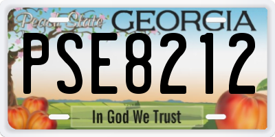 GA license plate PSE8212