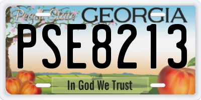 GA license plate PSE8213