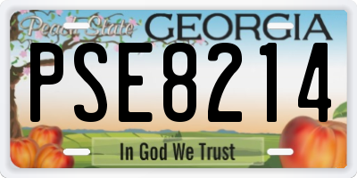 GA license plate PSE8214
