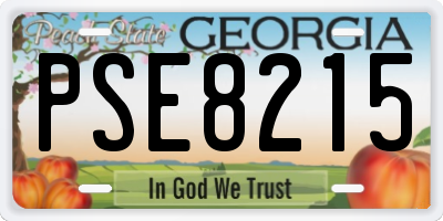GA license plate PSE8215