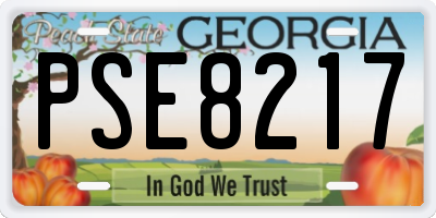 GA license plate PSE8217