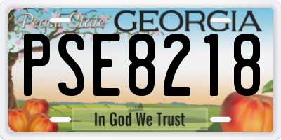 GA license plate PSE8218