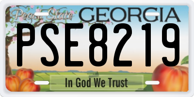 GA license plate PSE8219
