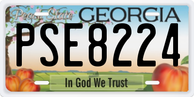 GA license plate PSE8224
