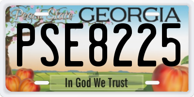 GA license plate PSE8225
