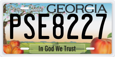 GA license plate PSE8227