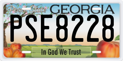 GA license plate PSE8228