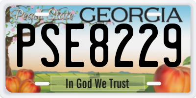 GA license plate PSE8229