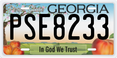 GA license plate PSE8233