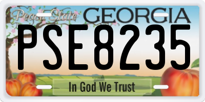GA license plate PSE8235