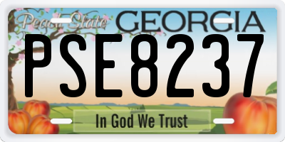 GA license plate PSE8237