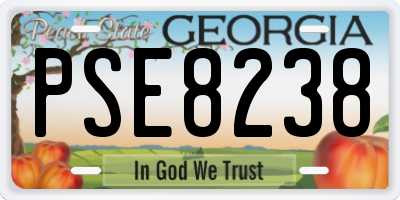 GA license plate PSE8238