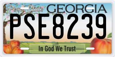 GA license plate PSE8239