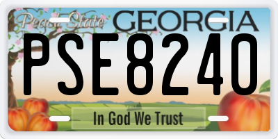 GA license plate PSE8240
