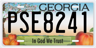 GA license plate PSE8241