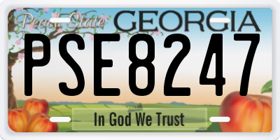 GA license plate PSE8247