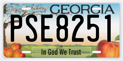 GA license plate PSE8251