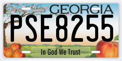 GA license plate PSE8255