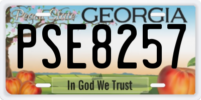 GA license plate PSE8257
