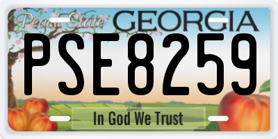 GA license plate PSE8259