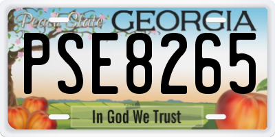 GA license plate PSE8265