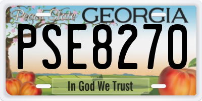 GA license plate PSE8270