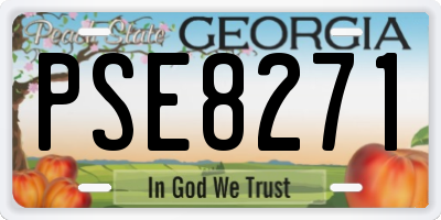 GA license plate PSE8271