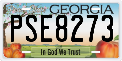 GA license plate PSE8273