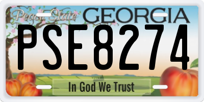 GA license plate PSE8274