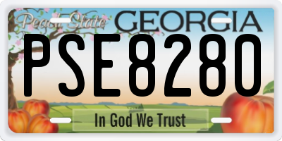 GA license plate PSE8280