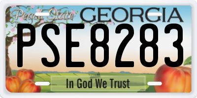 GA license plate PSE8283