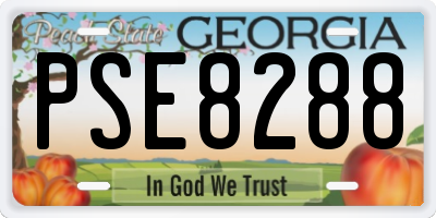 GA license plate PSE8288