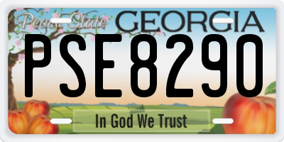 GA license plate PSE8290