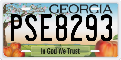 GA license plate PSE8293