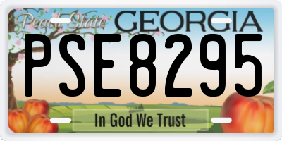 GA license plate PSE8295