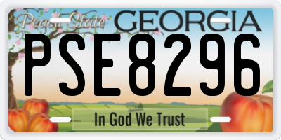 GA license plate PSE8296
