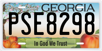 GA license plate PSE8298