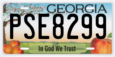 GA license plate PSE8299