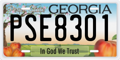 GA license plate PSE8301