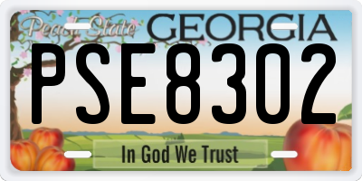 GA license plate PSE8302