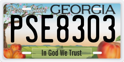 GA license plate PSE8303