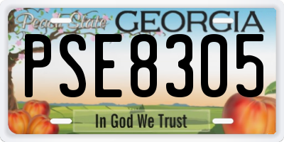 GA license plate PSE8305