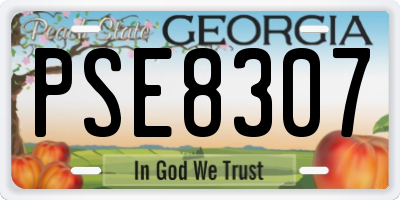 GA license plate PSE8307
