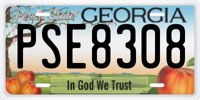 GA license plate PSE8308