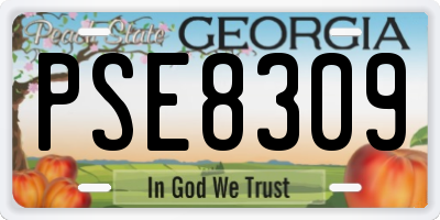 GA license plate PSE8309