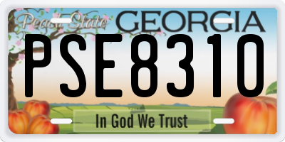 GA license plate PSE8310